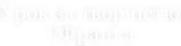 Урок за творчістю І.Франка